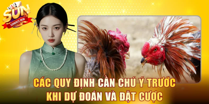 Các quy định cần chú ý trước khi dự đoán và đặt cược
