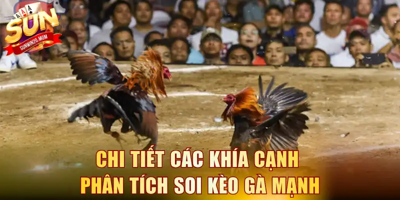 Chi tiết các khía cạnh phân tích soi kèo gà mạnh