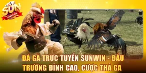 Đá gà trực tuyến