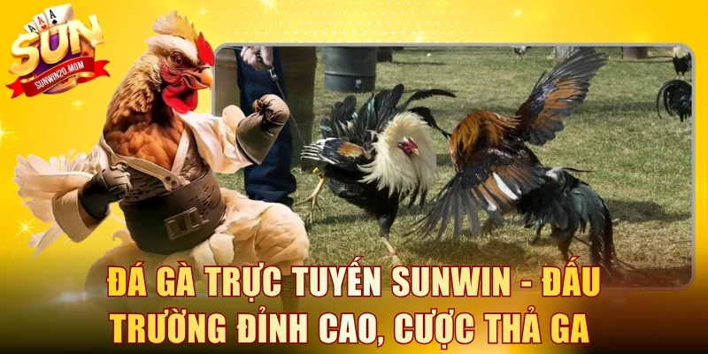 Đá gà trực tuyến