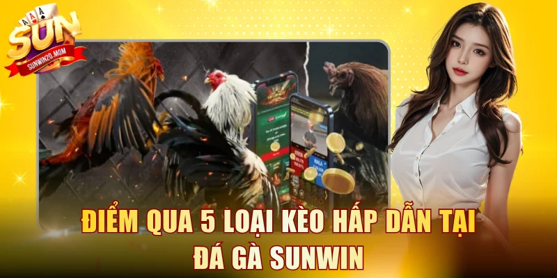 Điểm qua 5 loại kèo hấp dẫn tại đá gà SUNWIN