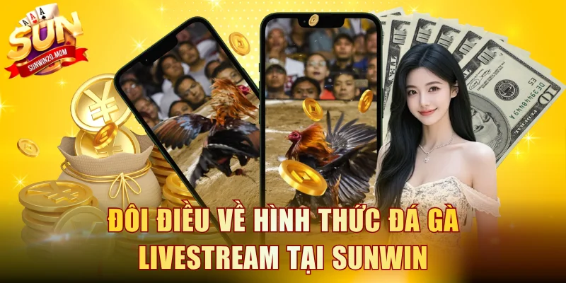 Đôi điều về hình thức đá gà livestream tại SUNWIN