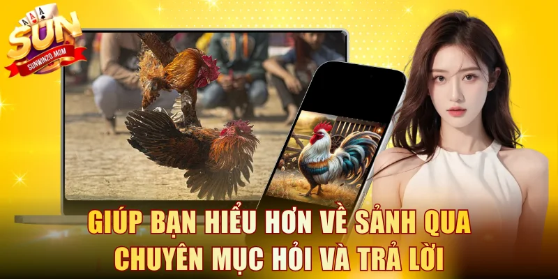 Giúp bạn hiểu hơn về sảnh qua chuyên mục hỏi và trả lời