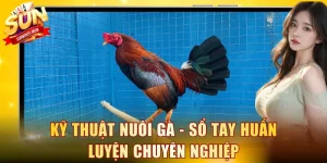 Kỹ thuật nuôi gà