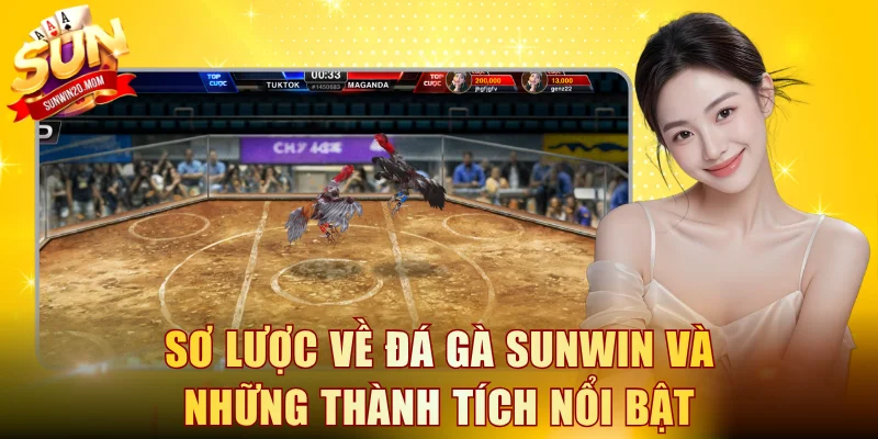 Sơ lược về đá gà SUNWIN và những thành tích nổi bật