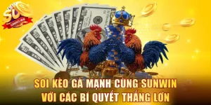 Soi kèo gà mạnh